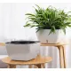 Ghiveci Cu Udare Automata Interior-Exterior Lily 4164 Tomasucci Italia 