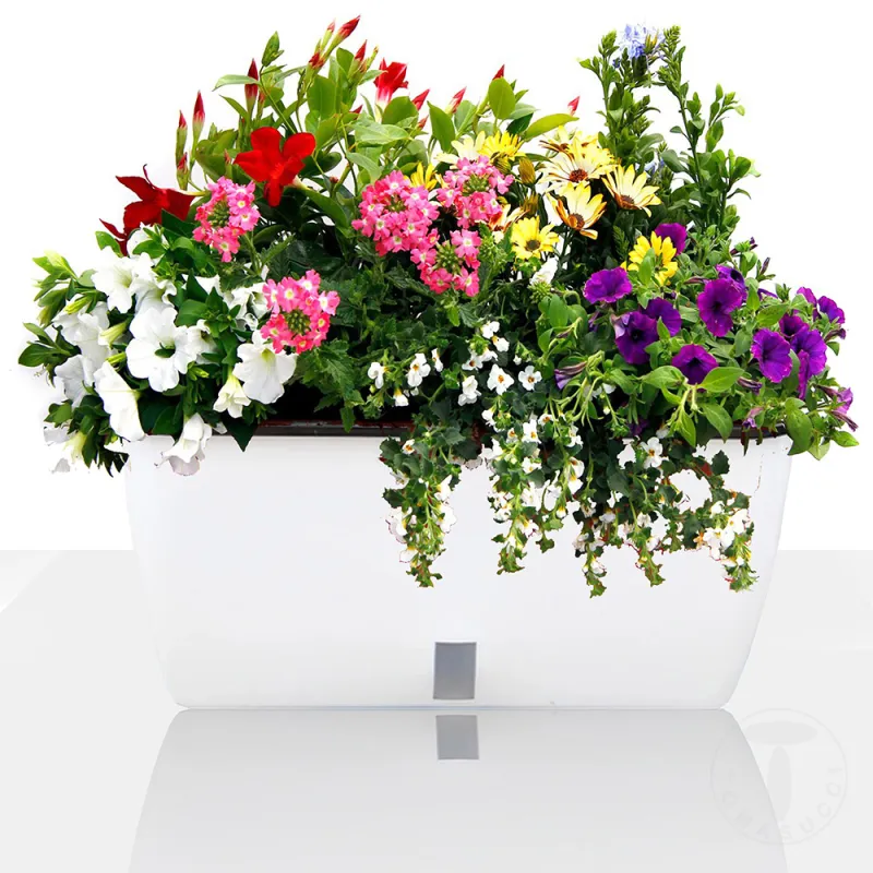 Ghiveci Cu Udare Automata Interior-Exterior Dahlia Big 4165 Tomasucci Italia 