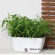 Ghiveci Cu Udare Automata Interior-Exterior Dahlia Big 4165 Tomasucci Italia 