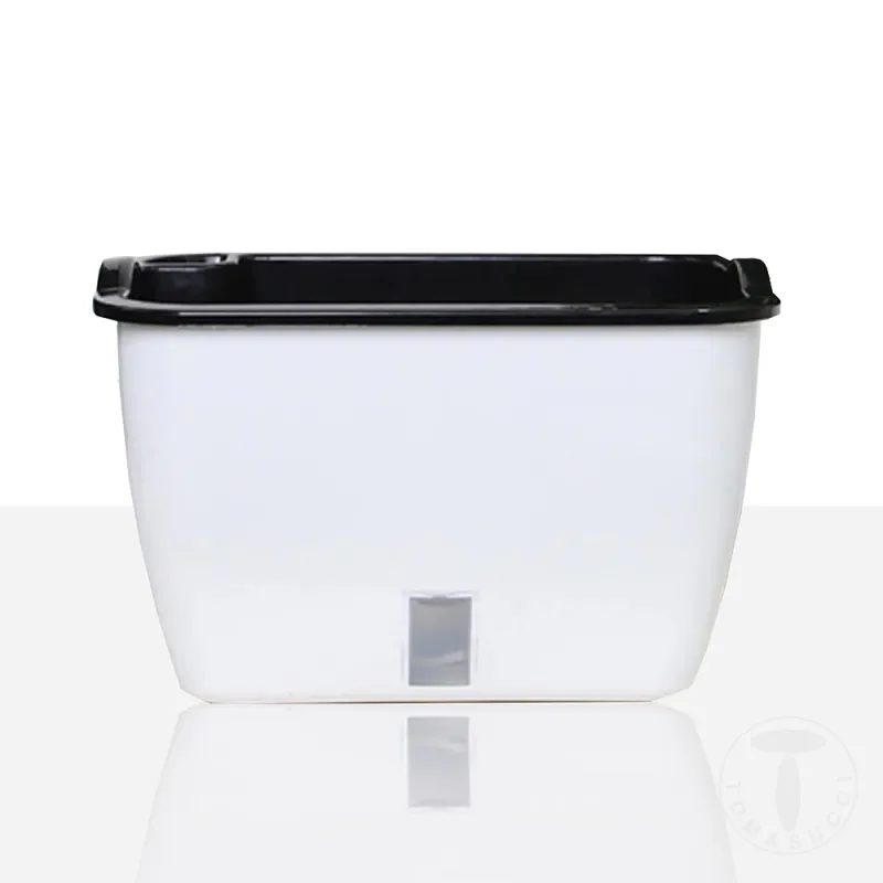 Ghiveci Cu Udare Automata Interior-Exterior Dahlia Small 4166 Tomasucci Italia 