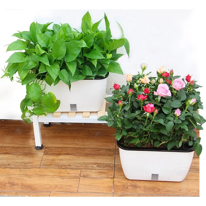 Ghiveci Cu Udare Automata Interior-Exterior Dahlia Small 4166 Tomasucci Italia 