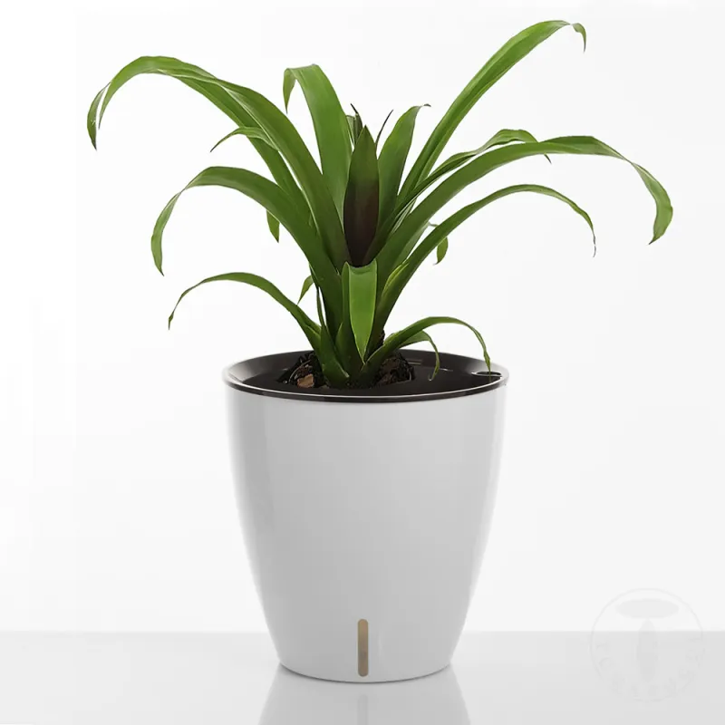 Ghiveci Cu Udare Automata Interior-Exterior Tulip 4167 Tomasucci Italia 