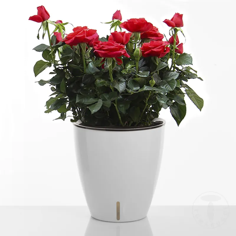 Ghiveci Cu Udare Automata Interior-Exterior Tulip 4167 Tomasucci Italia 