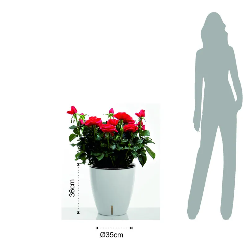 Ghiveci Cu Udare Automata Interior-Exterior Tulip 4167 Tomasucci Italia 