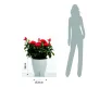 Ghiveci Cu Udare Automata Interior-Exterior Tulip 4167 Tomasucci Italia 
