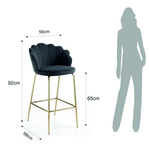 Scaun Captusit Shell Grey 4337 Tomasucci Italia 