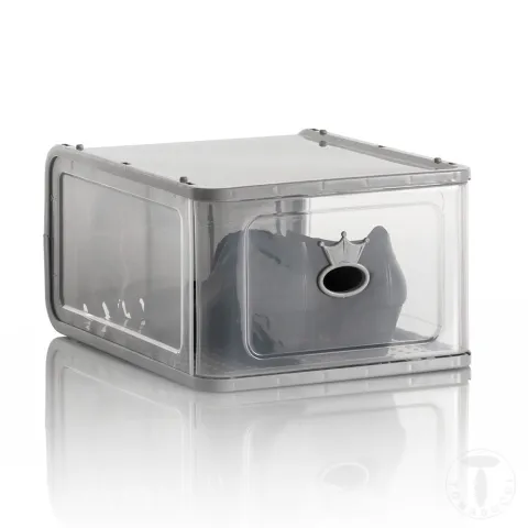 Cutie De Pantofi Jack Big 4506 Tomasucci Italia 