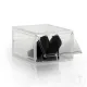 Cutie De Pantofi Jones Transparent 4508 Tomasucci Italia 