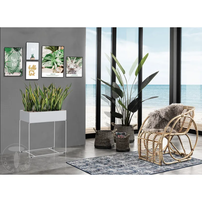 Set Tablouri Garden 4624 Tomasucci Italia 
