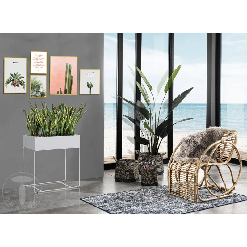 Set Tablouri Garden 4625 Tomasucci Italia 