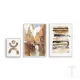 Set Tablouri Watercolor 4628 Tomasucci Italia 