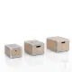 Set 3 Cutii Din Lemn Pentru Depozitare Wood 4716 Tomasucci Italia 