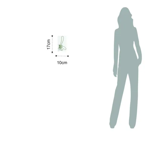 Carlig De Perete Smilly 4717 Tomasucci Italia 