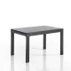 Masa Extensibila Quick Grey 4953 Tomasucci Italia 