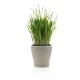 Ghiveci Cu Autoudare De Interior-Exterior Loppy Medium 5098 Tomasucci Italia 
