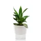Ghiveci Cu Autoudare De Interior-Exterior Raffy Medium 5102 Tomasucci Italia 